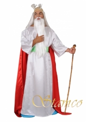 Kostým Galský čaroděj