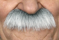 Knír dlouhý šedý